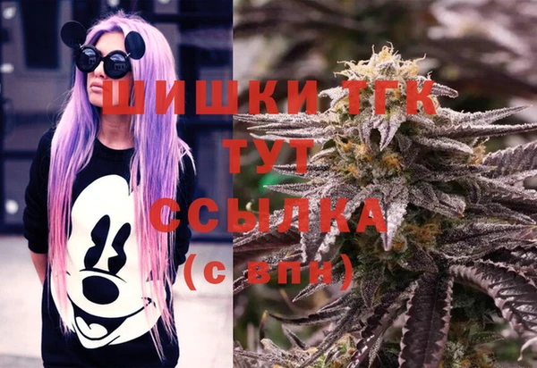 бошки Протвино