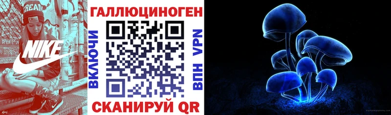 Псилоцибиновые грибы MAGIC MUSHROOMS  где можно купить   Княгинино 